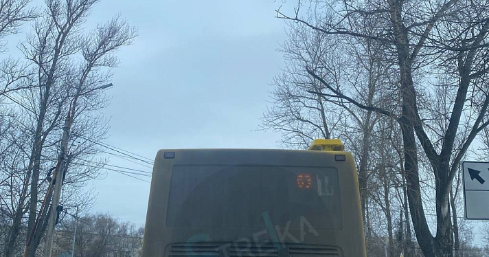 «Япоросёнок»: минтранс прокомментировал жалобы ярославцев на грязные автобусы_266832