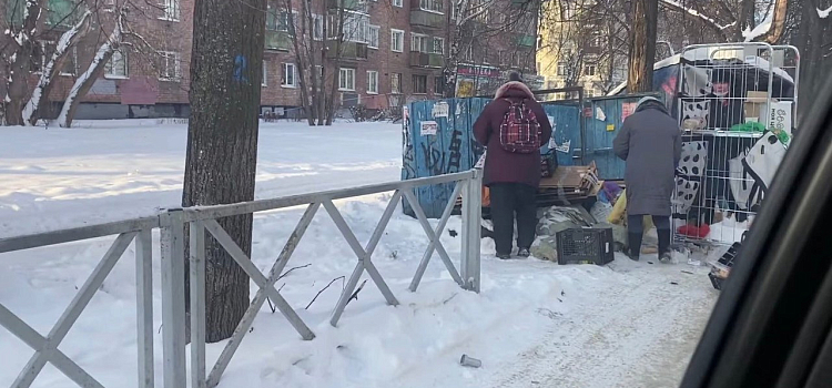 Фото дня. Ярославцы разбирают просрочку на помойке _172615