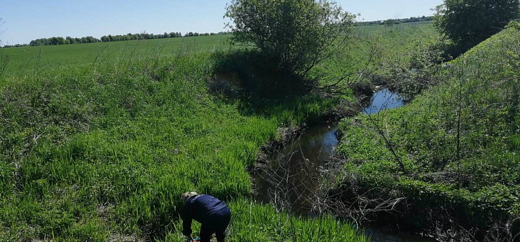 Вода в реке Норе у полигона «Скоково» в норме — правительство области_158216