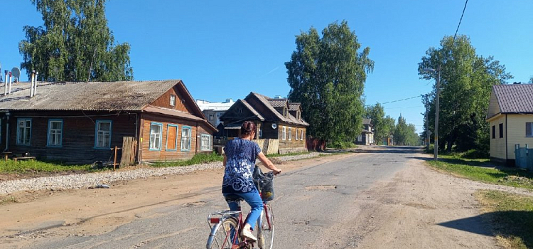 Предупреждение! В Ярославле прогнозируют повышение количества пыльцы