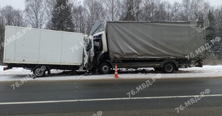 В Ярославской области в лобовом столкновении двух грузовиков погиб водитель_228835