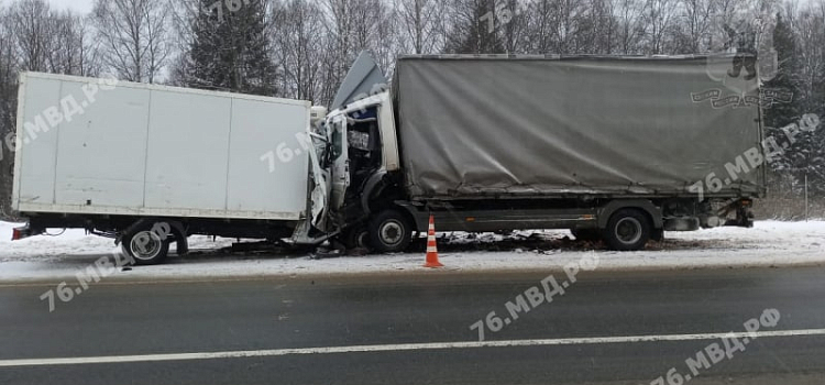 В Ярославской области в лобовом столкновении двух грузовиков погиб водитель_228835