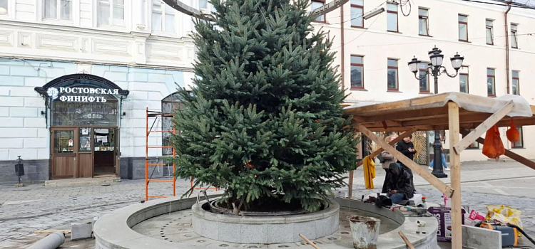Фонтан на улице Кирова в Ярославле будет украшать растение
