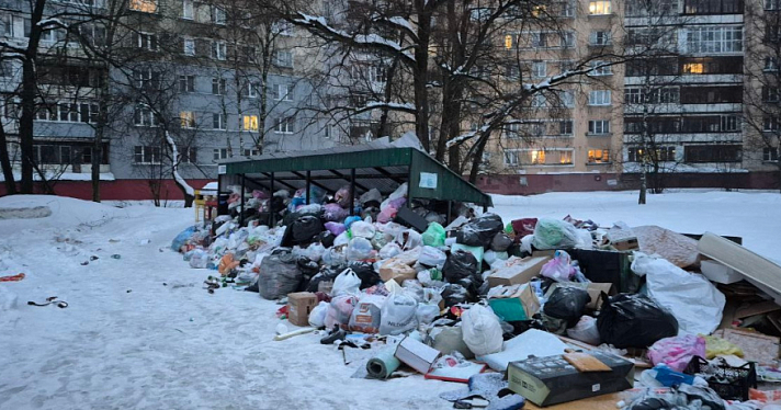 «Хартию» могут оштрафовать за несвоевременный вывоз мусора с площадок в Ярославле
