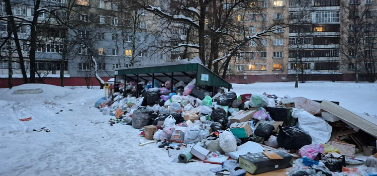 «Хартию» могут оштрафовать за несвоевременный вывоз мусора с площадок в Ярославле