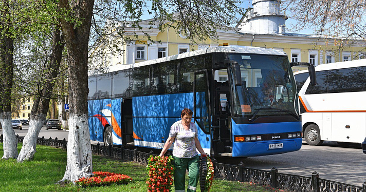 Не воруют, а «тянутся к прекрасному»: мэр Ярославля не стал осуждать горожан, вытаскивающих цветы из клумб_158646