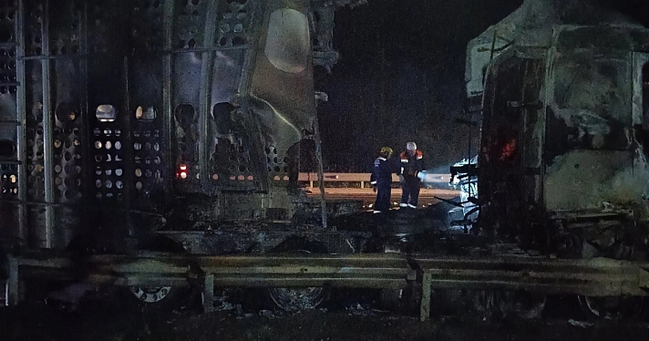 В Ярославской области на М-8 после столкновения с лосем сгорели два грузовика_249890