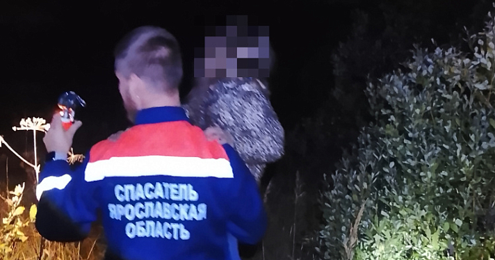 В Ярославской области на болоте заблудился мужчина с маленьким ребёнком