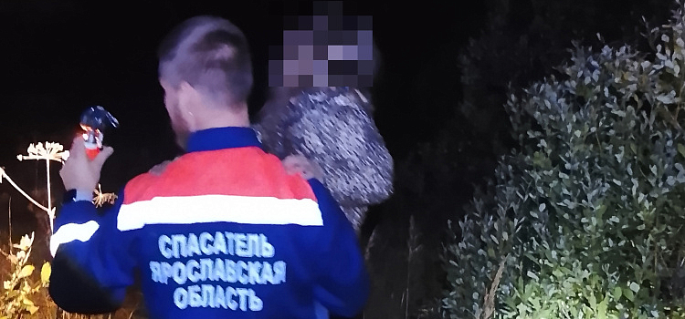 В Ярославской области на болоте заблудился мужчина с маленьким ребёнком