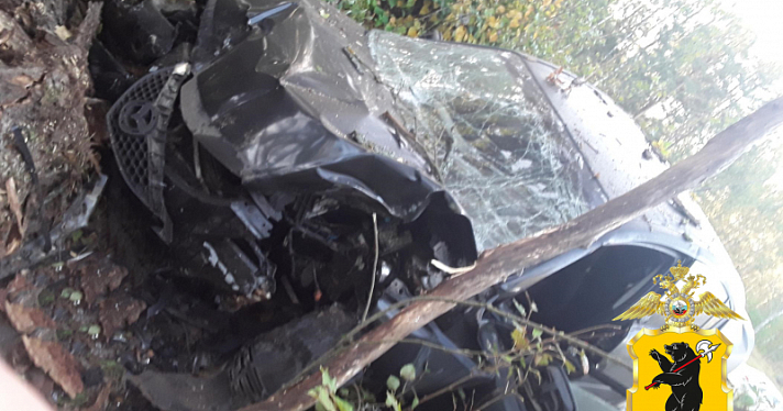 Вылетел с дороги: в Ярославской области в ДТП погибли двое мужчин