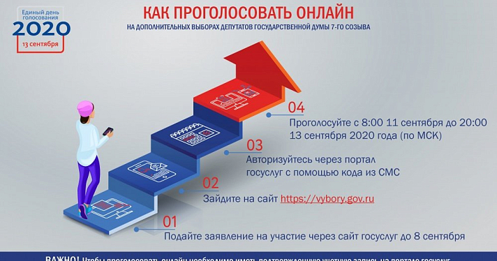 Дистанционное голосование в Курской и Ярославской областях: инструкция для избирателей