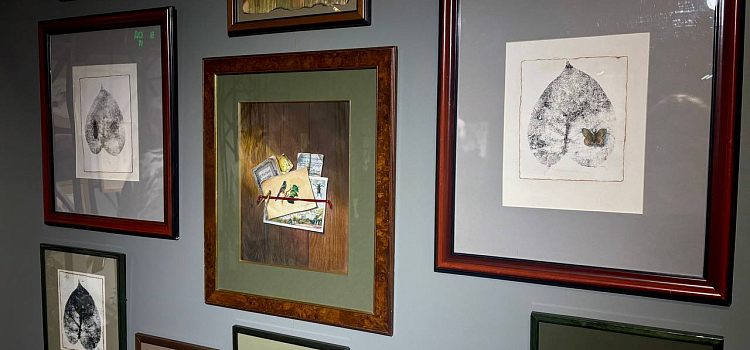 Оранжерея иллюзий: в Ярославле проходит выставка «Иллюзия/реальность»_312243