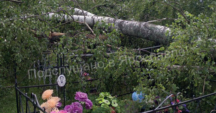 Непогода устроила погром на сельском кладбище под Ярославлем
