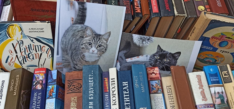 «Читай в поддержку животных»: в Ярославле пройдет благотворительная книжная ярмарка_226269