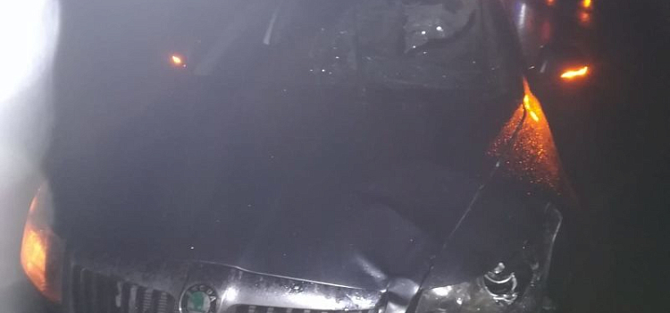 Под Рыбинском иномарка насмерть сбила пешехода