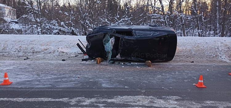 В Ярославской области опрокинулась легковушка, пострадала женщина-водитель