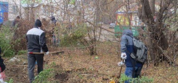 Во Фрунзенском районе Ярославля прошел субботник 