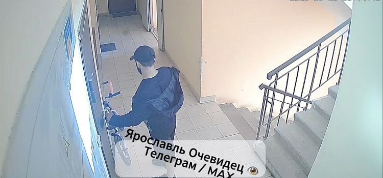 В Ярославской области «компашка домушников» организовала ночные вторжения и дневные преследования_318400