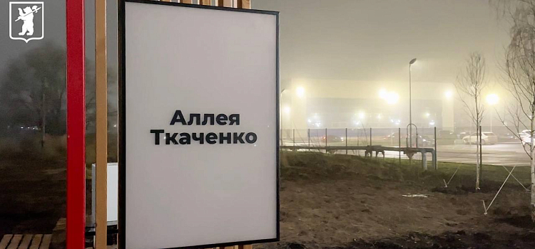 Новое место отдыха: в Ярославле завершили благоустройство аллеи имени Ивана Ткаченко_307796