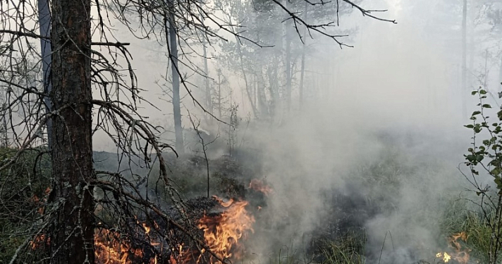 В Ярославской области загорелся торфяник_219433