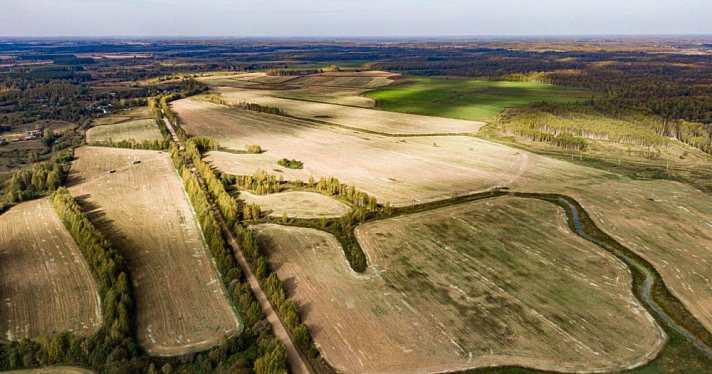 Земля может быть изъята: в Ярославской области ищут собственников брошенных сельскохозяйственных участков