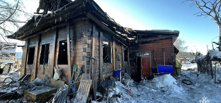 Пожар в Ярославской области унёс жизнь 94-летней женщины_310642