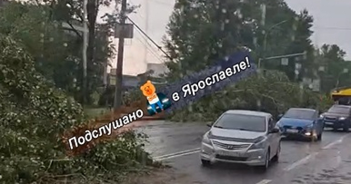 В Ярославле непогода парализовала движение электротранспорта