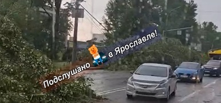 В Ярославле непогода парализовала движение электротранспорта