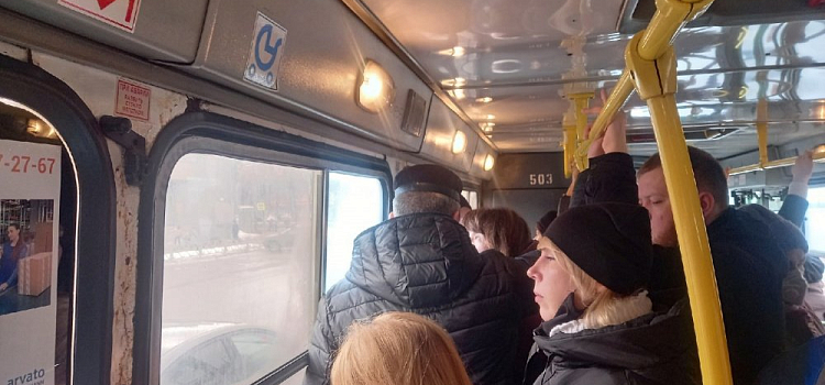 В Ярославле восемь автобусных маршрутов возвращается к привычному расписанию движения
