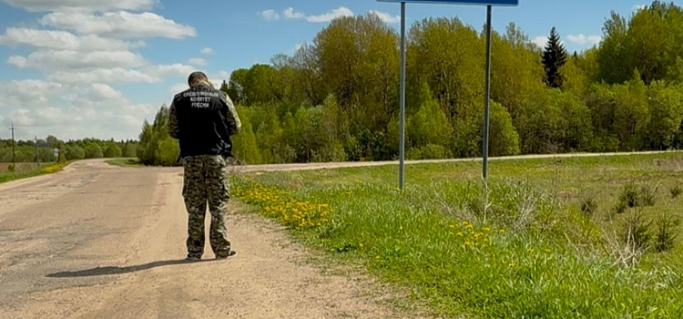 Следственный комитет начал проверку после сообщений о разбитой дороге в Большесельском округе_296923