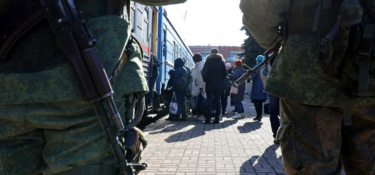 Братские народы: политолог объяснил стремление россиян помочь беженцам из ДНР и ЛНР