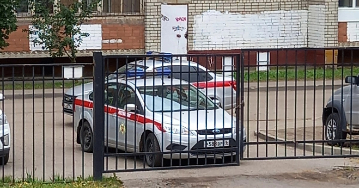 В Ярославле задержали мужчину, который проник в школу: комментарии полиции и департамента образования_221340