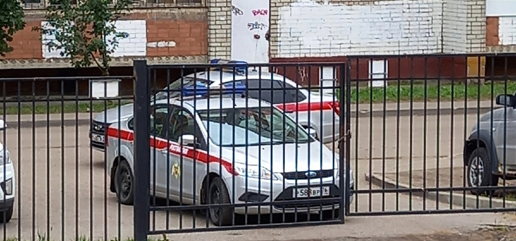 В Ярославле задержали мужчину, который проник в школу: комментарии полиции и департамента образования_221340