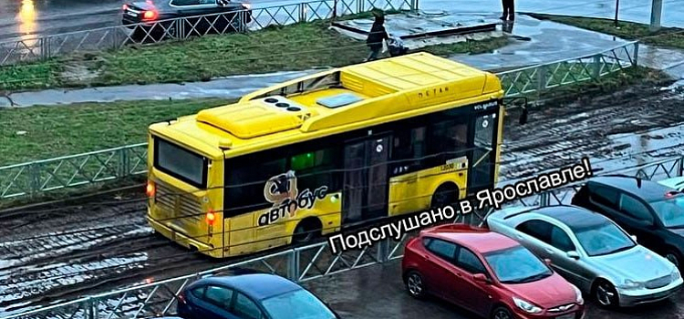 «Япоросенок»: в Ярославле желтый автобус увяз в грязи на месте демонтированной трамвайной линии_257038