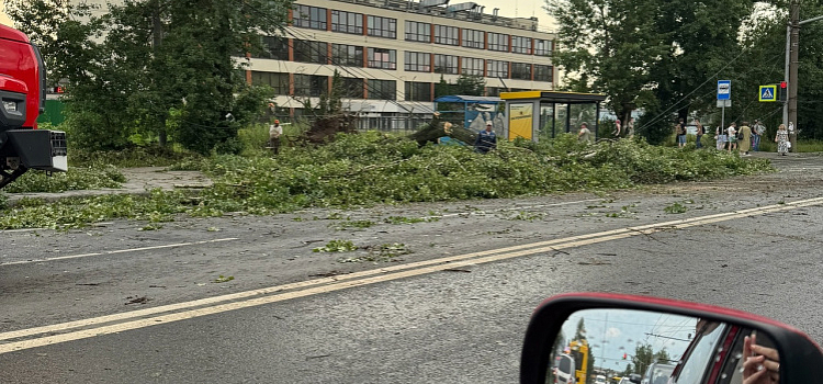 Движение электротранспорта в Ярославле полностью восстановлено