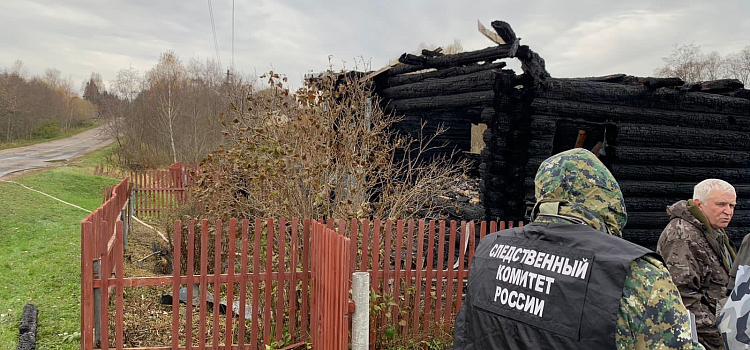 В Ярославской области при пожаре погибла семья с ребенком_255129