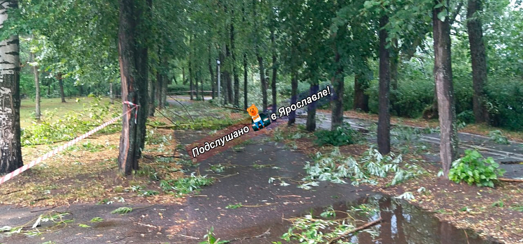 Крыши и деревья летели прямо на дорогу: в Ярославской области устраняют последствия грозы_319287