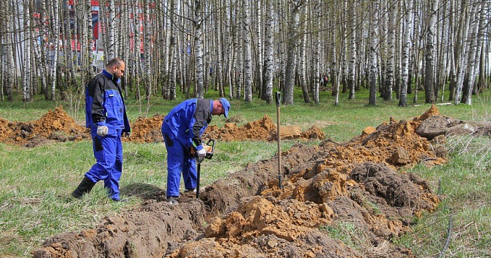 Закончат к 15 июня: в Рыбинске приступили к строительству площадок для выгула собак