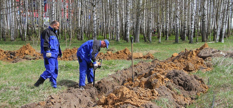 Закончат к 15 июня: в Рыбинске приступили к строительству площадок для выгула собак