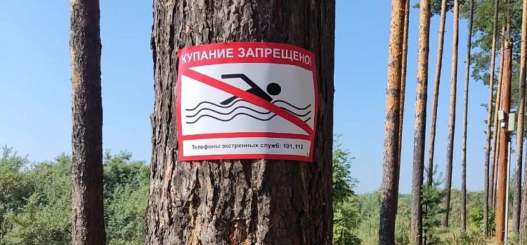 На карьерах под Ярославлем запретили купаться