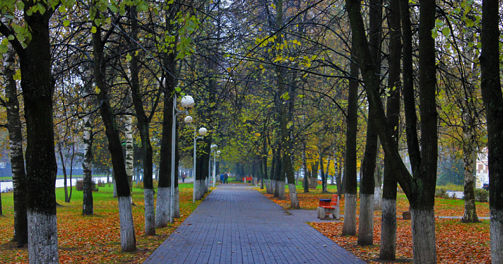 Ярославцев предупредили о волне тепла