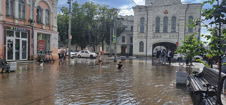 Юные ярославцы устроили «заплыв» на центральной улице_275154