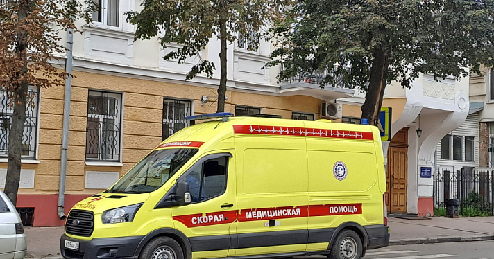 Пенсионерка из Ярославской области добилась компенсации за укус соседской собаки