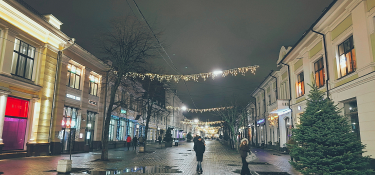 Улицу Кирова в Ярославле украсили живыми ёлками_308319