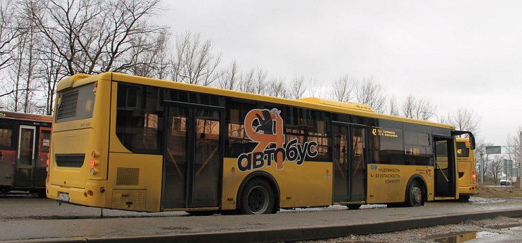 В Ярославской области поймали четырёх пьяных водителей автобусов