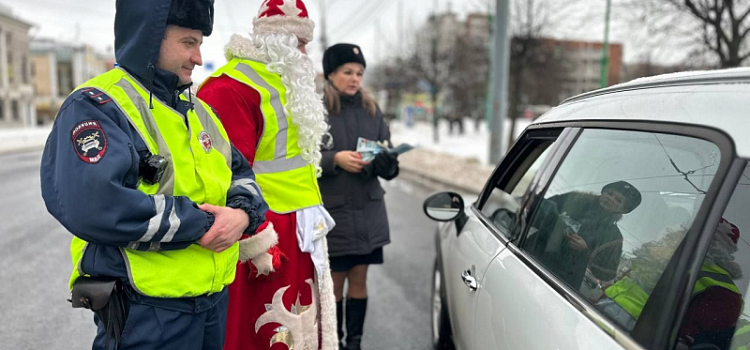 В центре Ярославля на дорогу вышел необычный патруль_260308