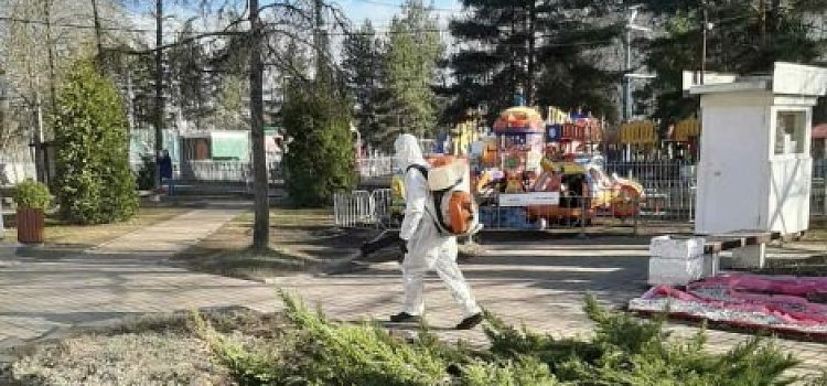 В Ярославле городские парки начали обрабатывать от клещей
