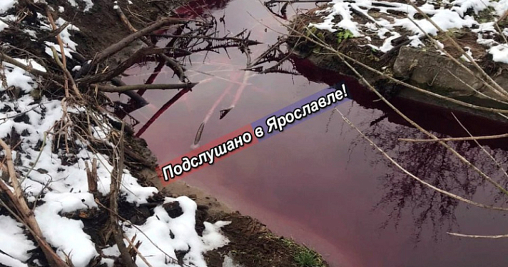 «Вода цвета марганцовки стекает в Волгу»: озвучены результаты проверки воды в Дудкинском ручье