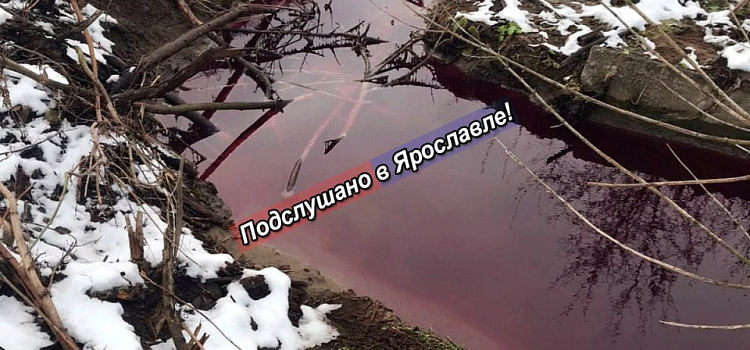 «Вода цвета марганцовки стекает в Волгу»: озвучены результаты проверки воды в Дудкинском ручье