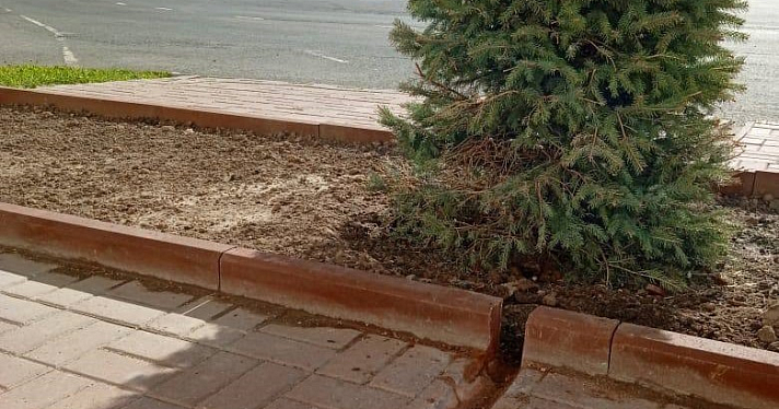 Пропилили бордюры: в Ярославле решили проблему ливнёвки близ памятника архитектуры